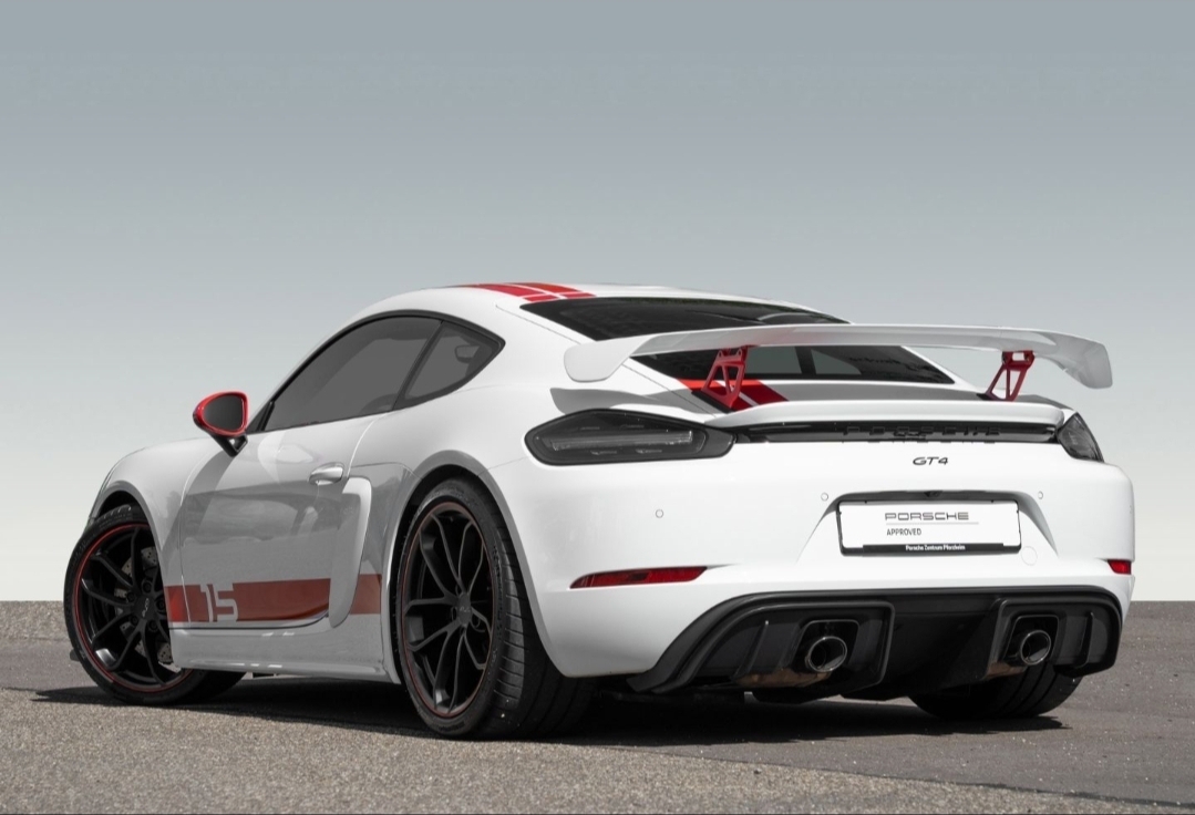 
								CAYMAN 718 GT4 full									
