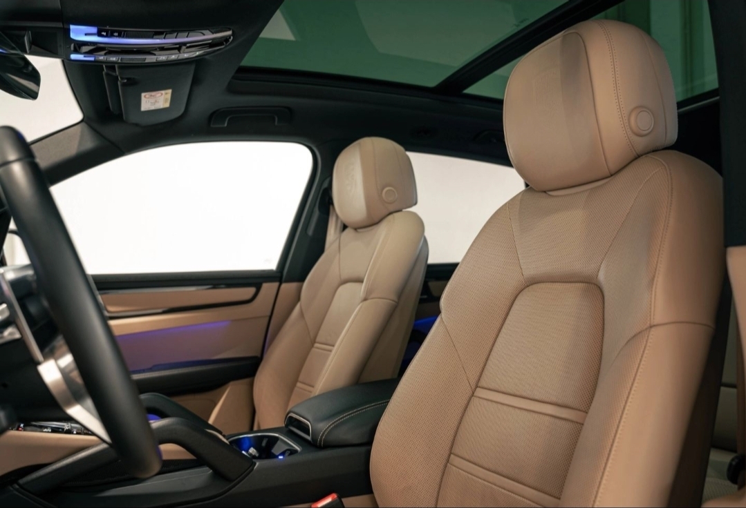 
								CAYENNE E-Hybrid PLATINUM EDITION full									